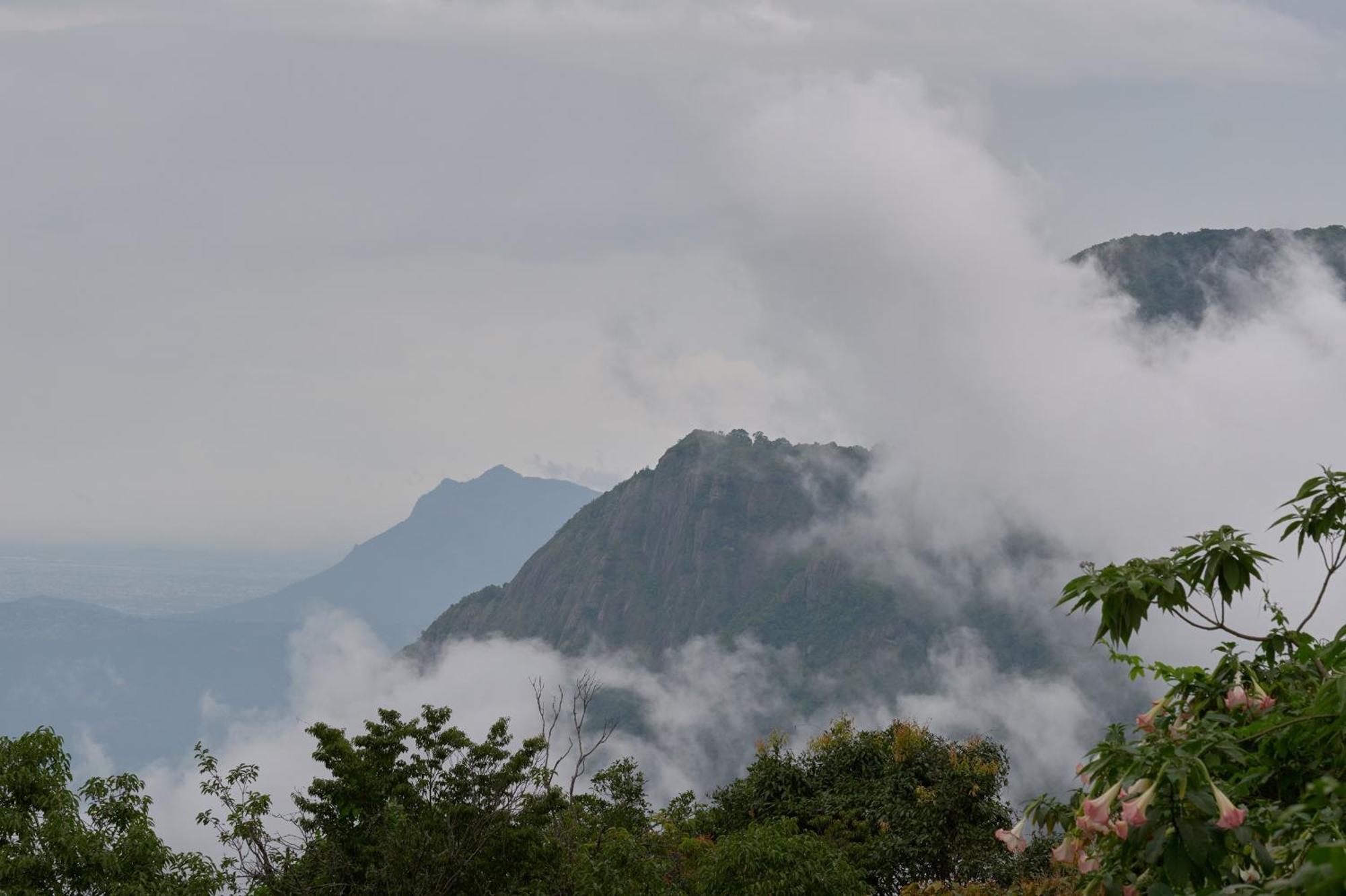 De Rock Jungle Living Resort Coonoor Luaran gambar