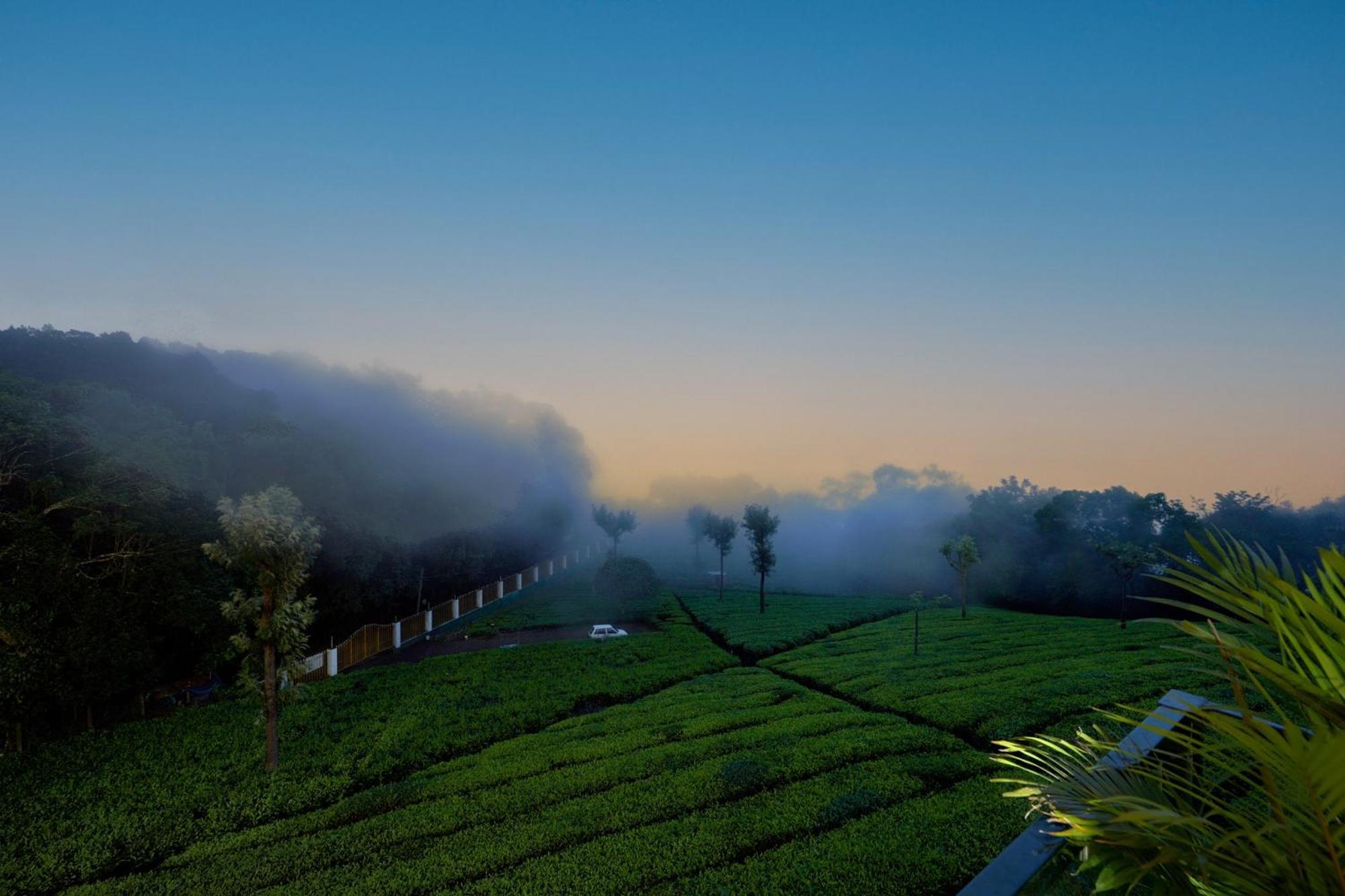De Rock Jungle Living Resort Coonoor Luaran gambar