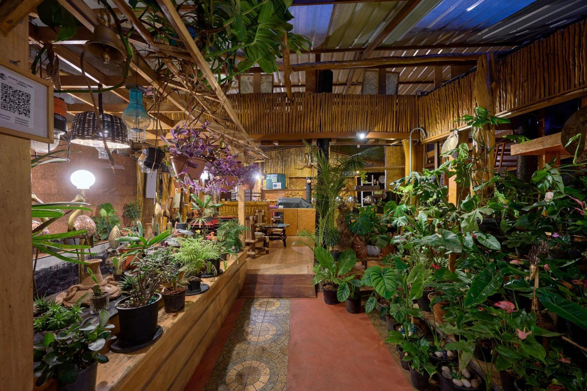 De Rock Jungle Living Resort Coonoor Luaran gambar