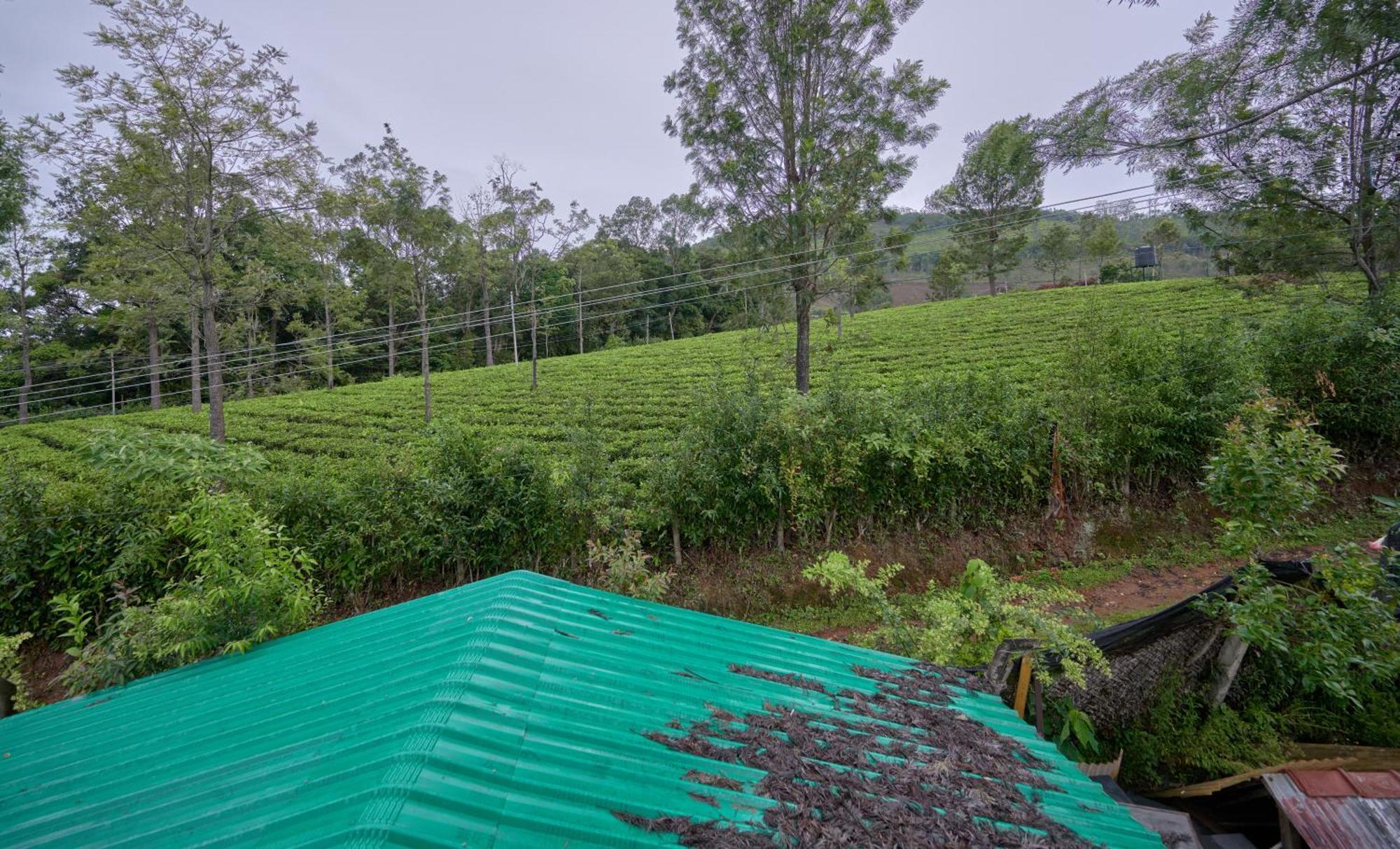 De Rock Jungle Living Resort Coonoor Luaran gambar